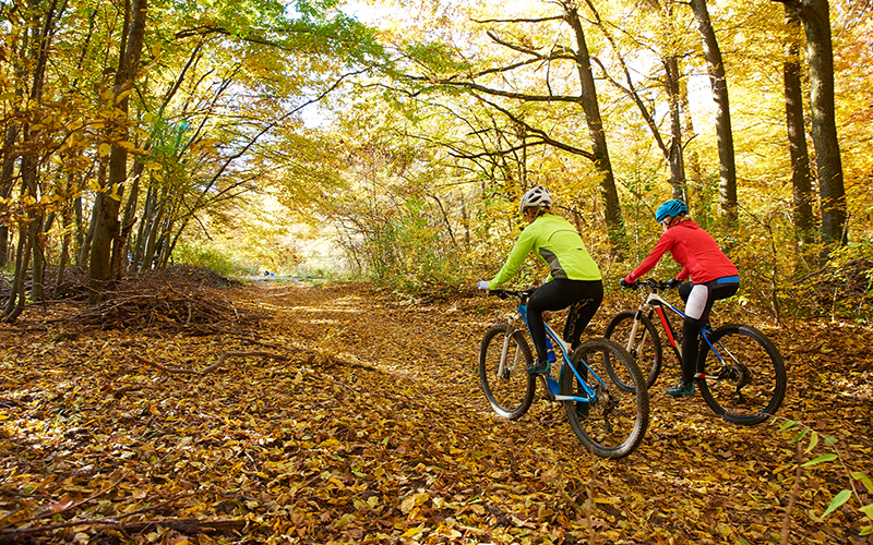 Two female cyclists cycling through trail with fallen leaves - mobile