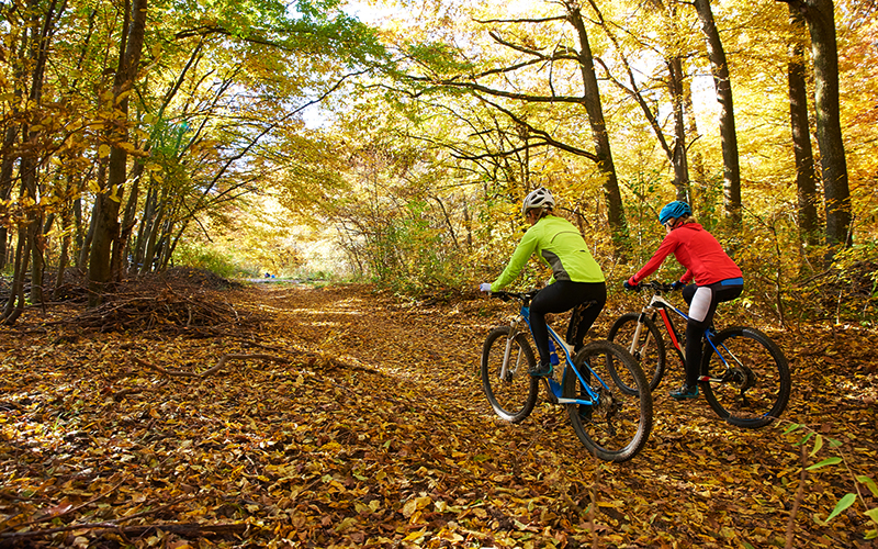 Two female cyclists cycling through trail with fallen leaves